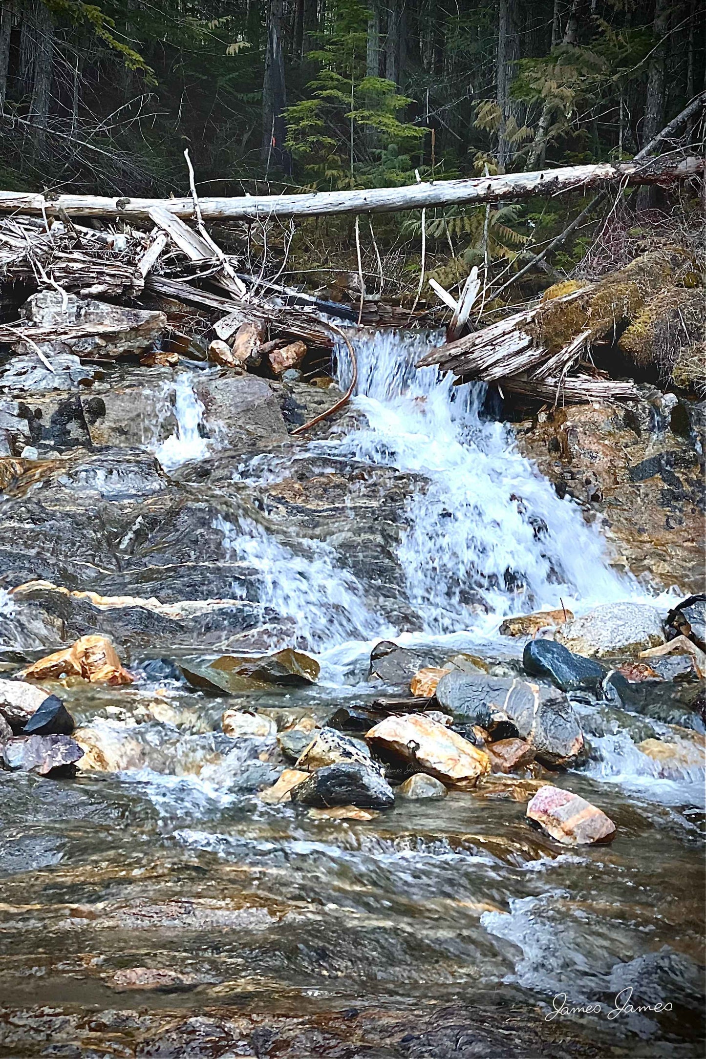 Untamed Waters Digital Print