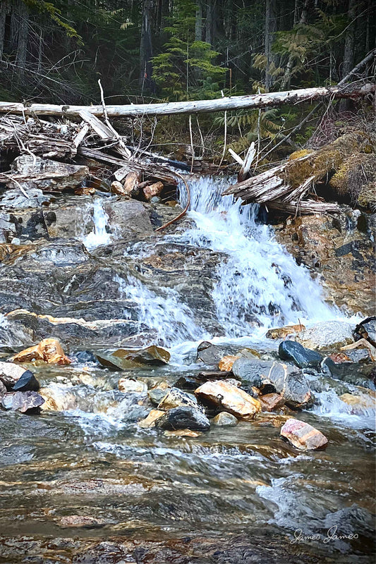 Untamed Waters Digital Print